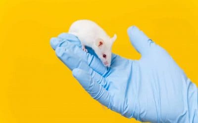 “The importance of balancing Sacsin protein levels in ARSACS”