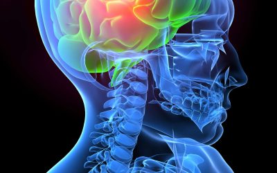 Recherche présentée au 31ième Symposium International sur ALS/MND