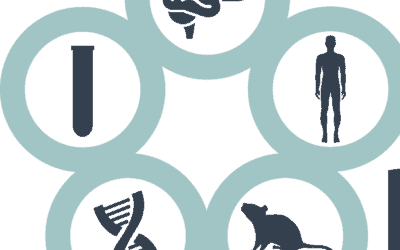Layman summary of PROSPAX publications available