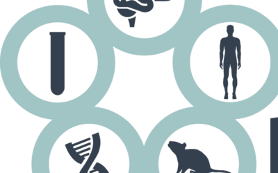 Résumé des articles PROSPAX (dans des termes simplifiés)